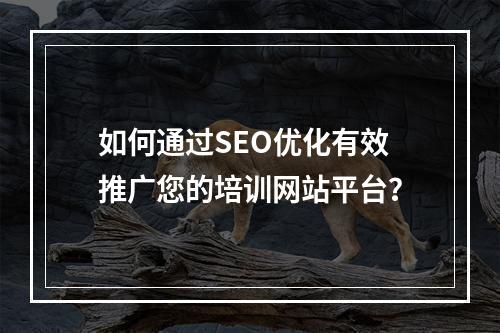 如何通过SEO优化有效推广您的培训网站平台?
