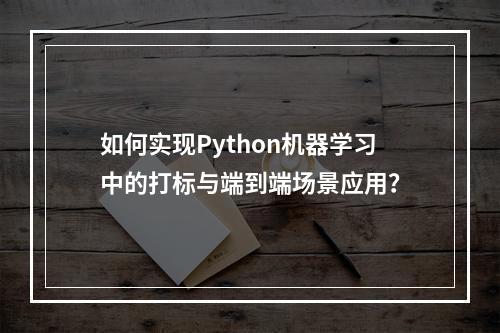 如何实现Python机器学习中的打标与端到端场景应用?