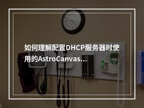 如何理解配置DHCP服务器时使用的AstroCanvas常用术语?
