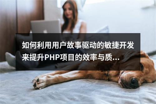 如何利用用户故事驱动的敏捷开发来提升PHP项目的效率与质量?