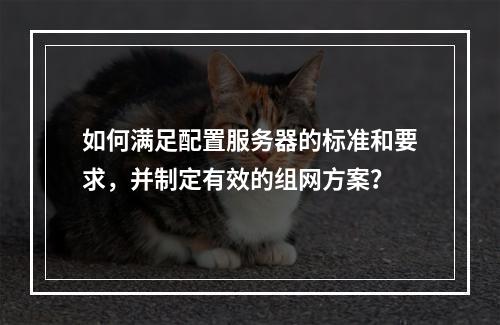 如何满足配置服务器的标准和要求,并制定有效的组网方案?