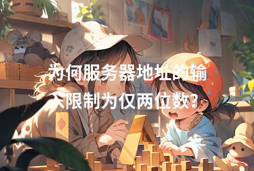 为何服务器地址的输入限制为仅两位数?