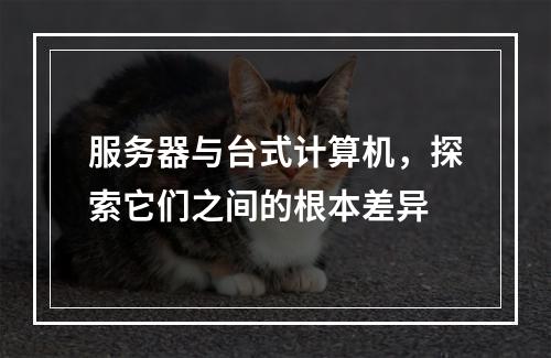服务器与台式计算机,探索它们之间的根本差异