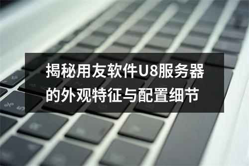 揭秘用友软件U8服务器的外观特征与配置细节
