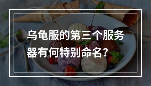 乌龟服的第三个服务器有何特别命名?