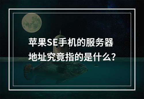 苹果SE手机的服务器地址究竟指的是什么?