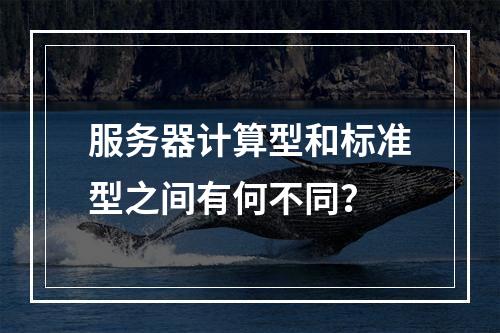 服务器计算型和标准型之间有何不同?