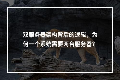 双服务器架构背后的逻辑,为何一个系统需要两台服务器?