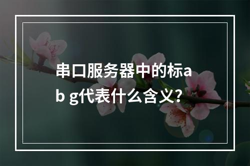 串口服务器中的标a b g代表什么含义?