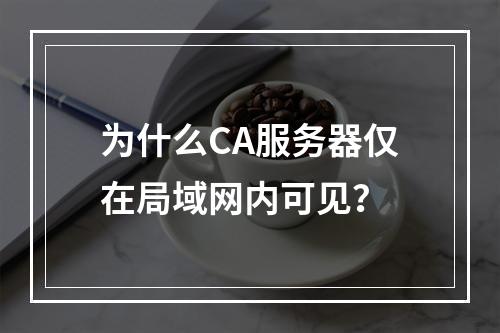 为什么CA服务器仅在局域网内可见?