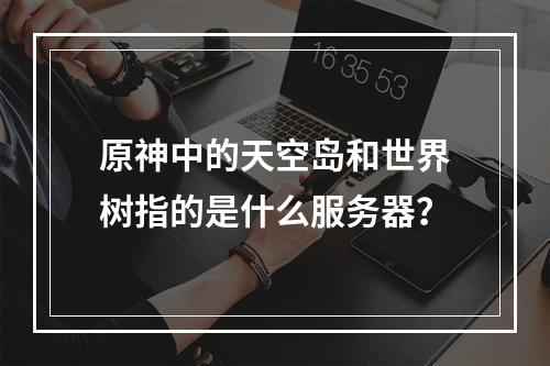 原神中的天空岛和世界树指的是什么服务器?
