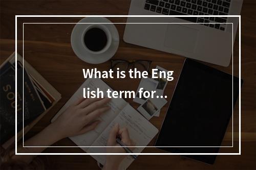 What is the English term for an authoritative server?