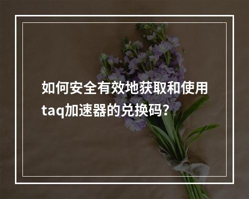 如何安全有效地获取和使用taq加速器的兑换码?