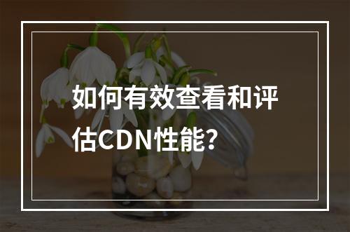如何有效查看和评估CDN性能?