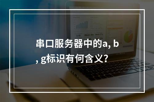 串口服务器中的a, b, g标识有何含义?