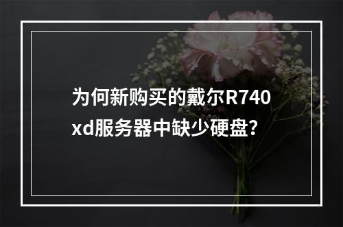 为何新购买的戴尔R740xd服务器中缺少硬盘?