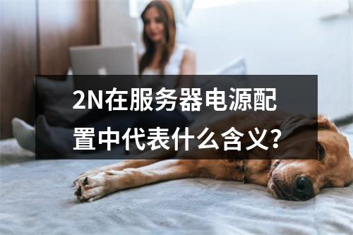 2N在服务器电源配置中代表什么含义?