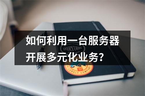 如何利用一台服务器开展多元化业务?