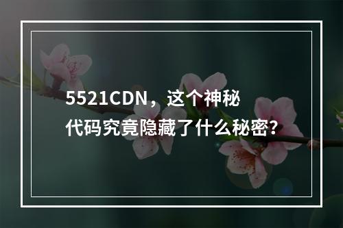 5521CDN,这个神秘代码究竟隐藏了什么秘密?
