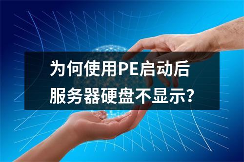 为何使用PE启动后服务器硬盘不显示?