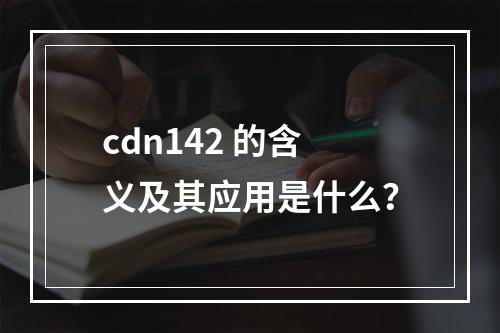 cdn142 的含义及其应用是什么?