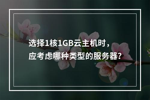 选择1核1GB云主机时,应考虑哪种类型的服务器?