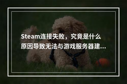 Steam连接失败,究竟是什么原因导致无法与游戏服务器建立连接?