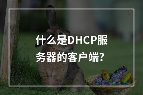 什么是DHCP服务器的客户端?