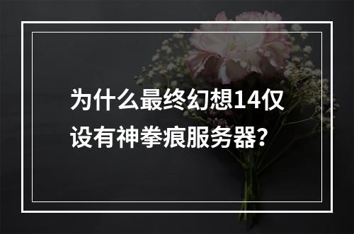 为什么最终幻想14仅设有神拳痕服务器?