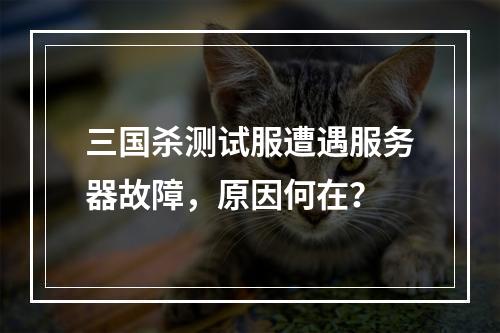 三国杀测试服遭遇服务器故障,原因何在?