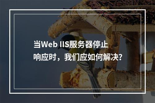当Web IIS服务器停止响应时,我们应如何解决?