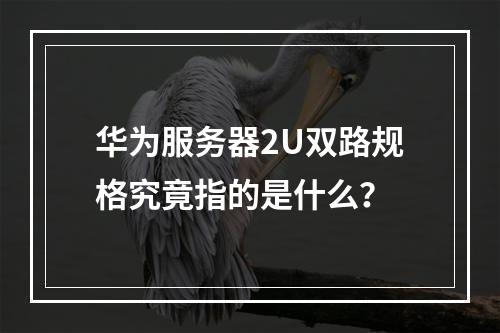 华为服务器2U双路规格究竟指的是什么?