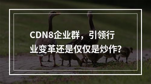 CDN8企业群,引领行业变革还是仅仅是炒作?