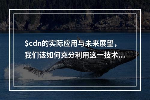$cdn的实际应用与未来展望,我们该如何充分利用这一技术?