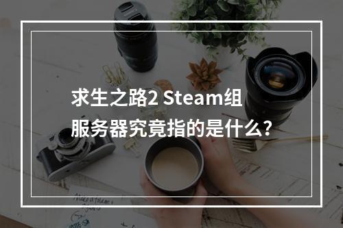 求生之路2 Steam组服务器究竟指的是什么?