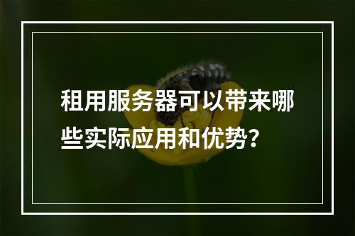 租用服务器可以带来哪些实际应用和优势?