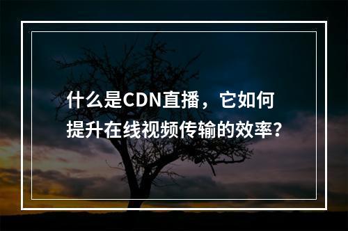 什么是CDN直播,它如何提升在线视频传输的效率?