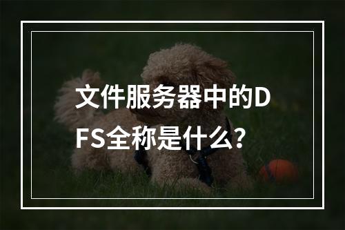 文件服务器中的DFS全称是什么?