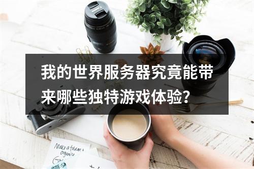 我的世界服务器究竟能带来哪些独特游戏体验?
