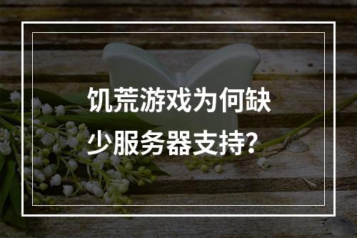 饥荒游戏为何缺少服务器支持?