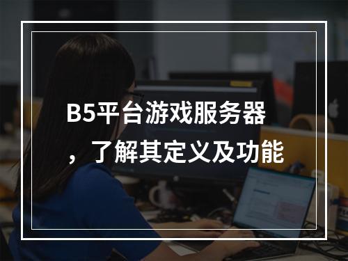 B5平台游戏服务器,了解其定义及功能