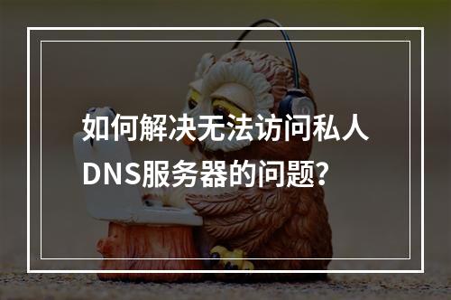 如何解决无法访问私人DNS服务器的问题?