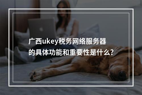 广西ukey税务网络服务器的具体功能和重要性是什么?