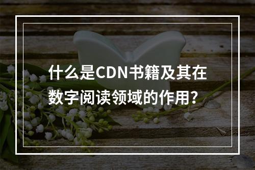 什么是CDN书籍及其在数字阅读领域的作用?
