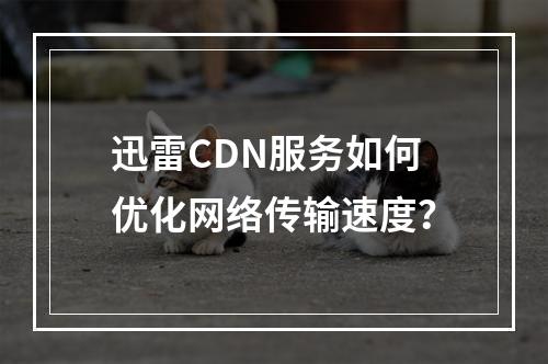 迅雷CDN服务如何优化网络传输速度?