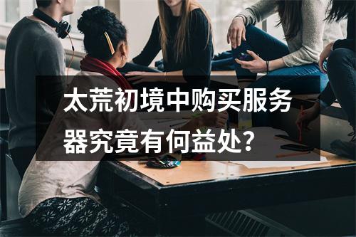 太荒初境中购买服务器究竟有何益处?