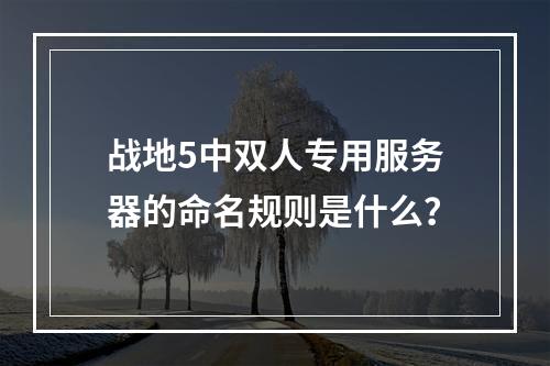 战地5中双人专用服务器的命名规则是什么?