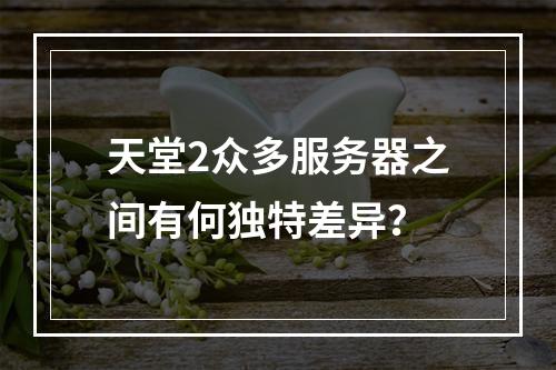 天堂2众多服务器之间有何独特差异?