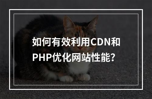 如何有效利用CDN和PHP优化网站性能?