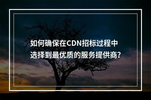 如何确保在CDN招标过程中选择到最优质的服务提供商?